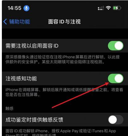 博鳌镇苹果14维修网点分享iPhone14注视感知功能有什么用 