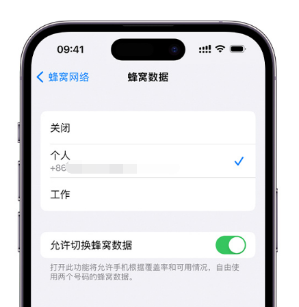 博鳌镇苹果维修服务分享如何在iPhone上使用双卡 